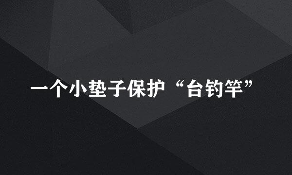 一个小垫子保护“台钓竿”