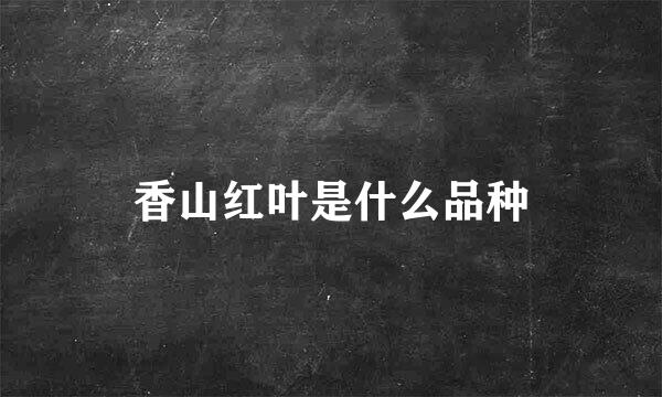 香山红叶是什么品种
