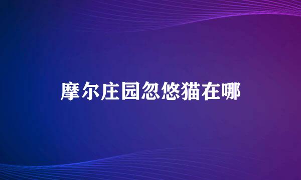 摩尔庄园忽悠猫在哪