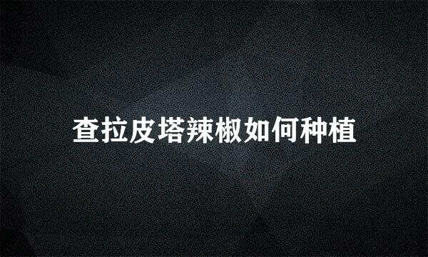 查拉皮塔辣椒如何种植