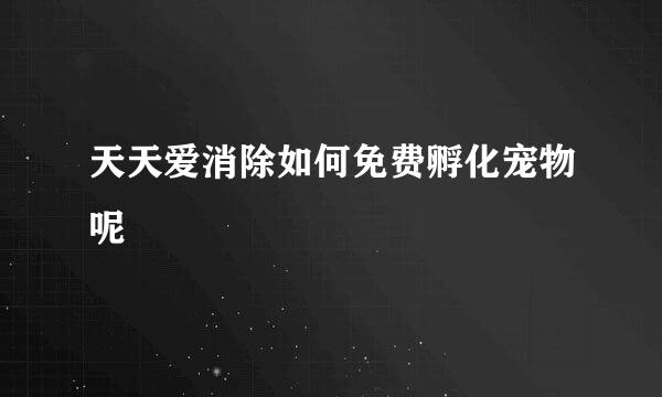 天天爱消除如何免费孵化宠物呢