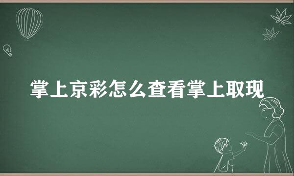 掌上京彩怎么查看掌上取现
