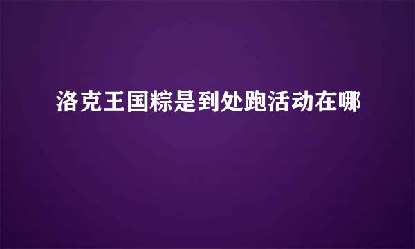 洛克王国粽是到处跑活动在哪