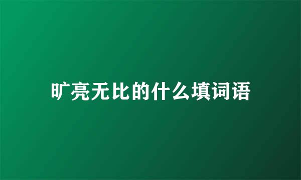 旷亮无比的什么填词语