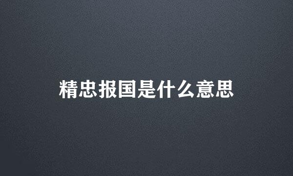 精忠报国是什么意思
