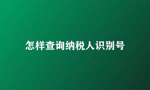 怎样查询纳税人识别号