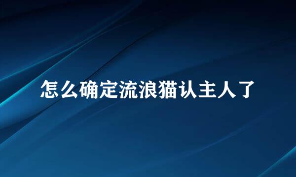 怎么确定流浪猫认主人了