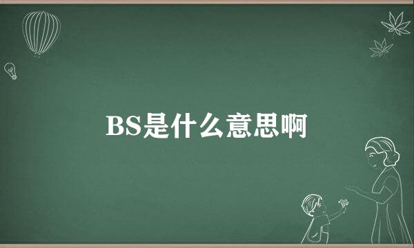 BS是什么意思啊