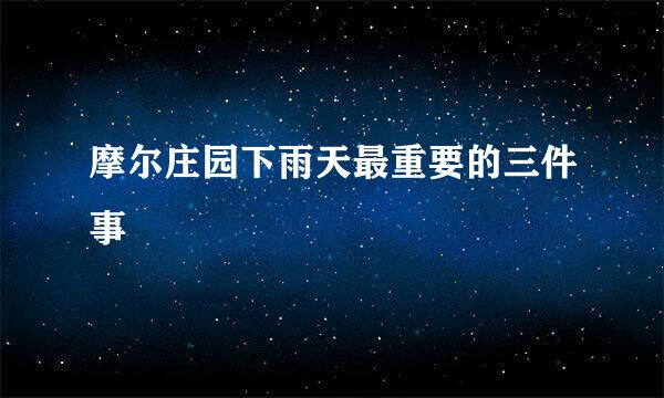 摩尔庄园下雨天最重要的三件事