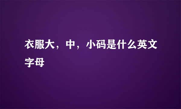 衣服大，中，小码是什么英文字母