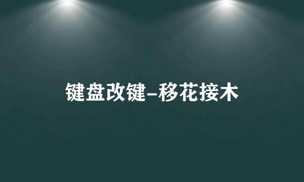 键盘改键-移花接木