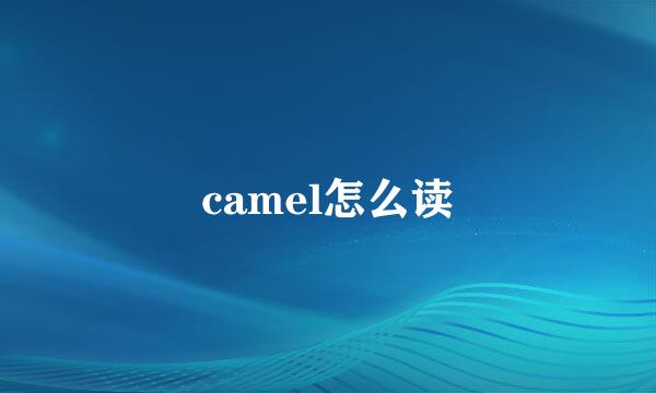 camel怎么读