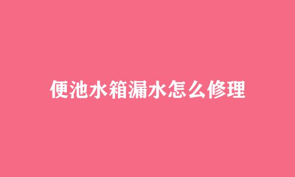 便池水箱漏水怎么修理
