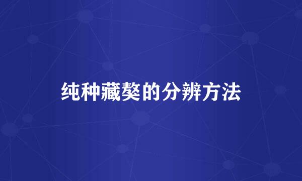 纯种藏獒的分辨方法