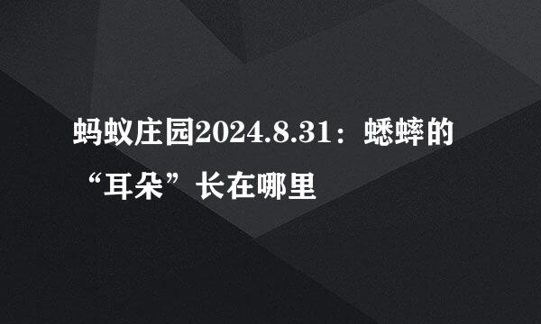 蚂蚁庄园2024.8.31：蟋蟀的“耳朵”长在哪里