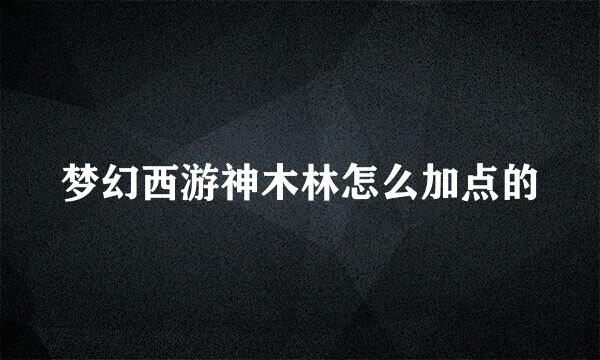 梦幻西游神木林怎么加点的