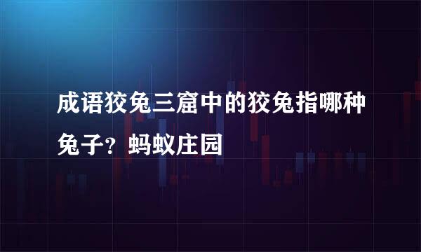 成语狡兔三窟中的狡兔指哪种兔子？蚂蚁庄园
