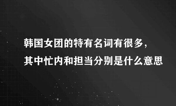 韩国女团的特有名词有很多，其中忙内和担当分别是什么意思