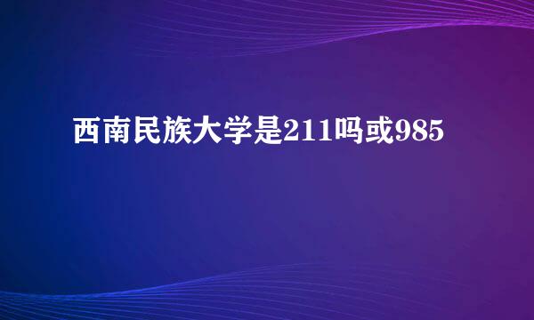 西南民族大学是211吗或985