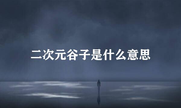 二次元谷子是什么意思