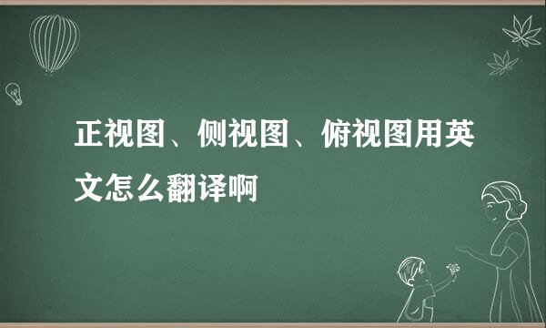 正视图、侧视图、俯视图用英文怎么翻译啊