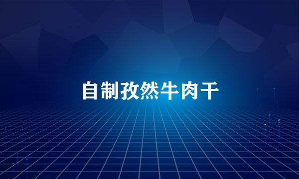 自制孜然牛肉干