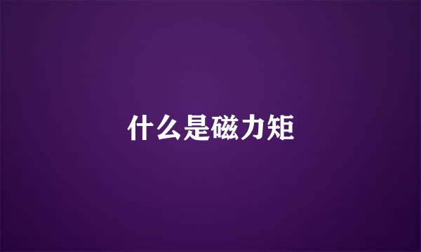 什么是磁力矩