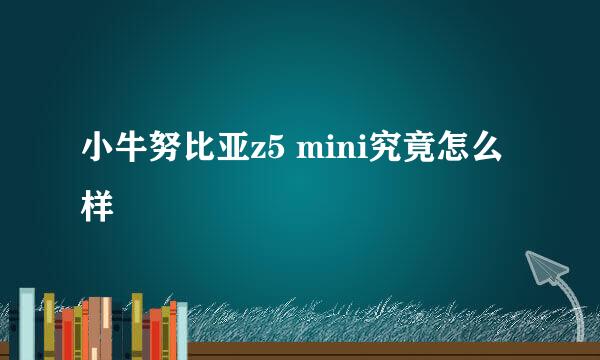 小牛努比亚z5 mini究竟怎么样