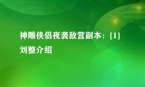 神雕侠侣夜袭敌营副本：[1]刘整介绍