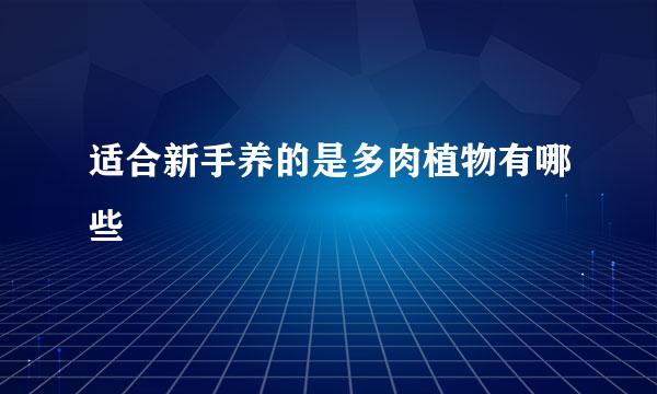 适合新手养的是多肉植物有哪些