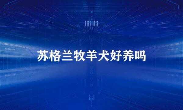 苏格兰牧羊犬好养吗