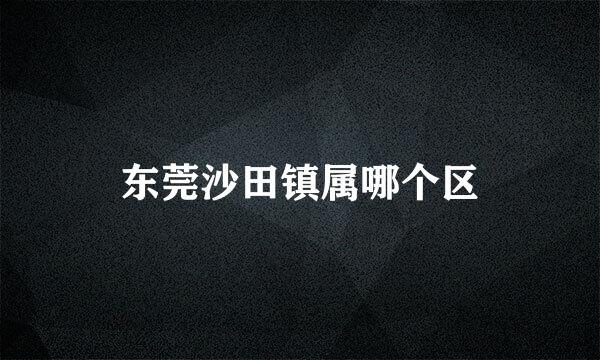 东莞沙田镇属哪个区