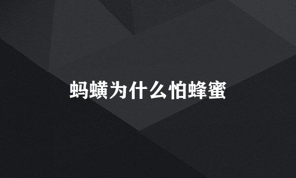 蚂蟥为什么怕蜂蜜