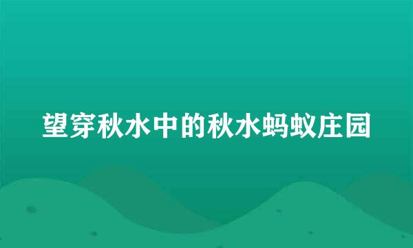 望穿秋水中的秋水蚂蚁庄园