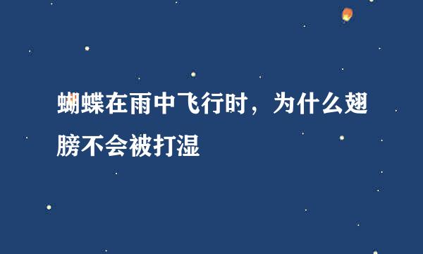 蝴蝶在雨中飞行时，为什么翅膀不会被打湿