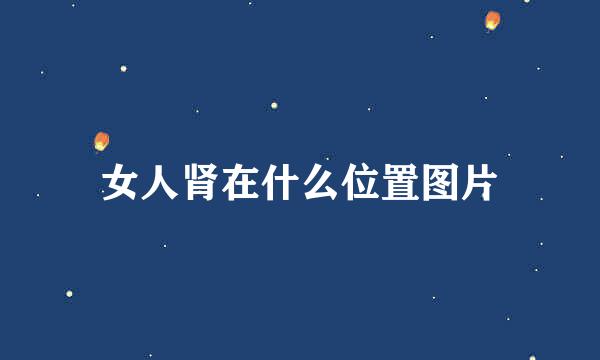 女人肾在什么位置图片