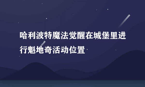 哈利波特魔法觉醒在城堡里进行魁地奇活动位置