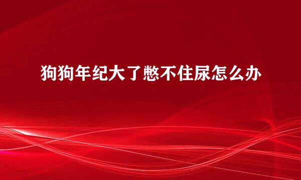 狗狗年纪大了憋不住尿怎么办