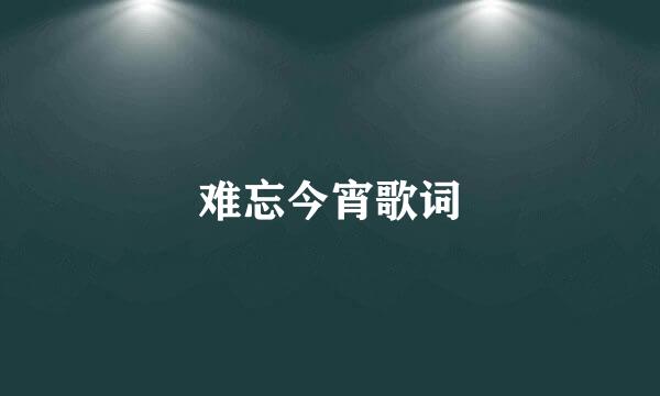 难忘今宵歌词