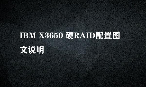 IBM X3650 硬RAID配置图文说明