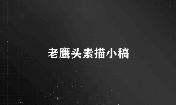 老鹰头素描小稿