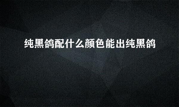纯黑鸽配什么颜色能出纯黑鸽