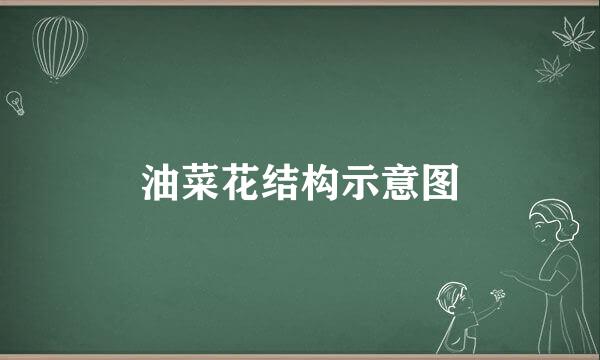 油菜花结构示意图