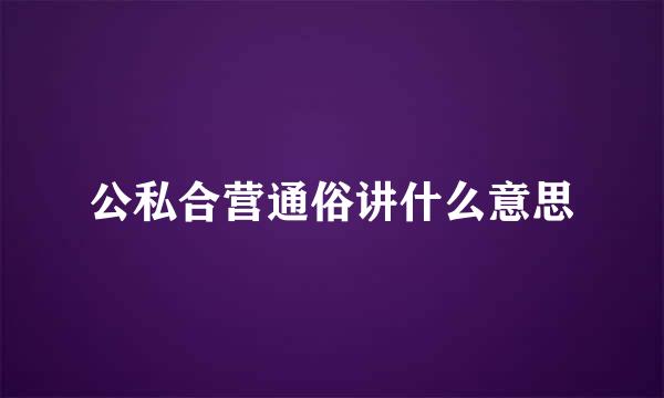 公私合营通俗讲什么意思