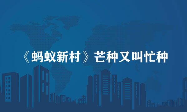《蚂蚁新村》芒种又叫忙种