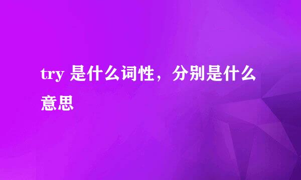 try 是什么词性，分别是什么意思