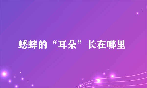 蟋蟀的“耳朵”长在哪里 