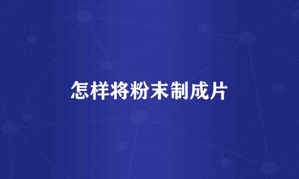 怎样将粉末制成片
