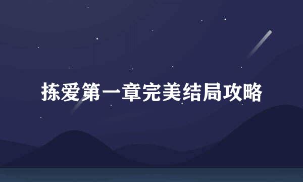 拣爱第一章完美结局攻略