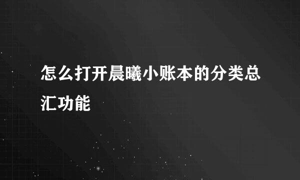怎么打开晨曦小账本的分类总汇功能